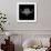 Black Buffalo Mesh-Lisa Kroll-Framed Art Print displayed on a wall