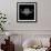 Black Buffalo Mesh-Lisa Kroll-Framed Art Print displayed on a wall