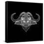 Black Buffalo Mesh-Lisa Kroll-Framed Stretched Canvas