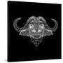 Black Buffalo Mesh-Lisa Kroll-Stretched Canvas