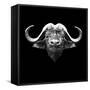 Black Buffalo-Lisa Kroll-Framed Stretched Canvas