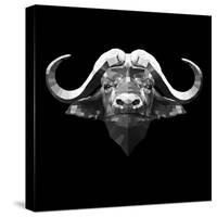 Black Buffalo-Lisa Kroll-Stretched Canvas