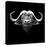 Black Buffalo-Lisa Kroll-Stretched Canvas