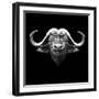 Black Buffalo-Lisa Kroll-Framed Art Print