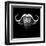 Black Buffalo-Lisa Kroll-Framed Art Print