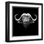 Black Buffalo-Lisa Kroll-Framed Art Print