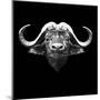 Black Buffalo-Lisa Kroll-Mounted Art Print