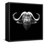 Black Buffalo-Lisa Kroll-Framed Stretched Canvas