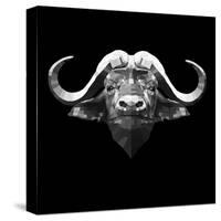 Black Buffalo-Lisa Kroll-Stretched Canvas