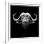 Black Buffalo-Lisa Kroll-Framed Art Print