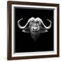 Black Buffalo-Lisa Kroll-Framed Art Print