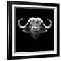 Black Buffalo-Lisa Kroll-Framed Art Print
