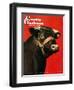 "Black Bull," Country Gentleman Cover, February 1, 1944-Salvadore Pinto-Framed Giclee Print