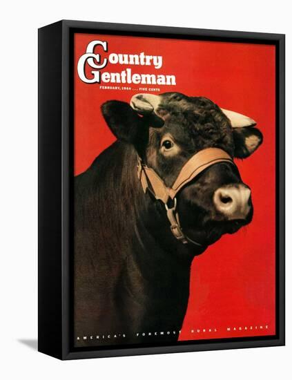 "Black Bull," Country Gentleman Cover, February 1, 1944-Salvadore Pinto-Framed Stretched Canvas