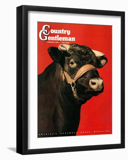 "Black Bull," Country Gentleman Cover, February 1, 1944-Salvadore Pinto-Framed Giclee Print