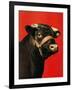 "Black Bull,"February 1, 1944-Salvadore Pinto-Framed Giclee Print