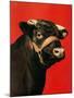 "Black Bull,"February 1, 1944-Salvadore Pinto-Mounted Giclee Print