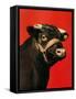 "Black Bull,"February 1, 1944-Salvadore Pinto-Framed Stretched Canvas