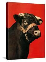"Black Bull,"February 1, 1944-Salvadore Pinto-Stretched Canvas