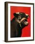 "Black Bull,"February 1, 1944-Salvadore Pinto-Framed Giclee Print
