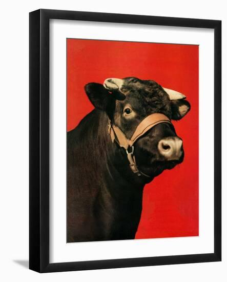 "Black Bull,"February 1, 1944-Salvadore Pinto-Framed Giclee Print