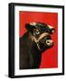 "Black Bull,"February 1, 1944-Salvadore Pinto-Framed Giclee Print