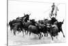 Black Bulls of Camargue and their Herder Running Through the Water, Camargue, France-Nadia Isakova-Stretched Canvas