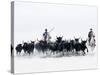 Black Bulls of Camargue and their Herders Running Through the Water, Camargue, France-Nadia Isakova-Stretched Canvas