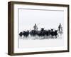 Black Bulls of Camargue and their Herders Running Through the Water, Camargue, France-Nadia Isakova-Framed Photographic Print