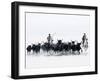 Black Bulls of Camargue and their Herders Running Through the Water, Camargue, France-Nadia Isakova-Framed Photographic Print