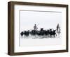 Black Bulls of Camargue and their Herders Running Through the Water, Camargue, France-Nadia Isakova-Framed Photographic Print