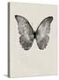 Black Butterfly on Tan-Design Fabrikken-Stretched Canvas