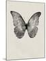 Black Butterfly on Tan-Design Fabrikken-Mounted Photographic Print