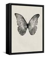 Black Butterfly on Tan-Design Fabrikken-Framed Stretched Canvas