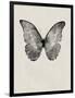 Black Butterfly on Tan-Design Fabrikken-Framed Photographic Print