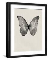 Black Butterfly on Tan-Design Fabrikken-Framed Photographic Print