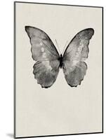 Black Butterfly on Tan-Design Fabrikken-Mounted Photographic Print