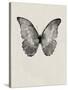 Black Butterfly on Tan-Design Fabrikken-Stretched Canvas