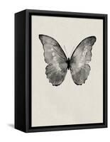 Black Butterfly on Tan-Design Fabrikken-Framed Stretched Canvas