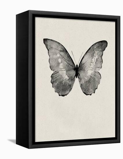Black Butterfly on Tan-Design Fabrikken-Framed Stretched Canvas