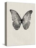 Black Butterfly on Tan-Design Fabrikken-Stretched Canvas