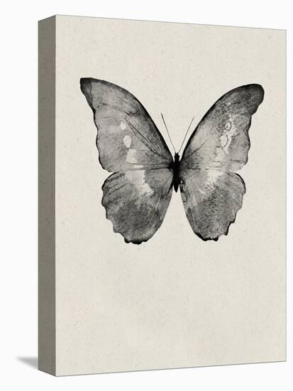 Black Butterfly on Tan-Design Fabrikken-Stretched Canvas