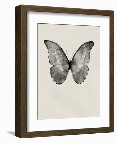 Black Butterfly on Tan-Design Fabrikken-Framed Photographic Print