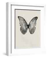 Black Butterfly on Tan-Design Fabrikken-Framed Photographic Print