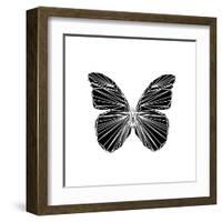 Black Butterfly-Lisa Kroll-Framed Art Print