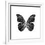 Black Butterfly-Lisa Kroll-Framed Art Print