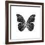 Black Butterfly-Lisa Kroll-Framed Art Print