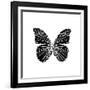 Black Butterfly-Lisa Kroll-Framed Art Print
