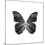 Black Butterfly-Lisa Kroll-Mounted Art Print