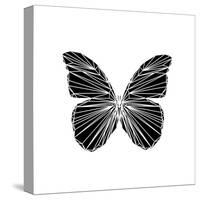 Black Butterfly-Lisa Kroll-Stretched Canvas